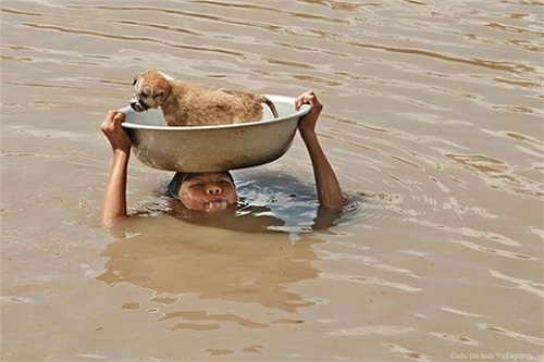 Unbreakable Bond: A Dog’s Heartfelt Goodbye to Its Beloved Owner